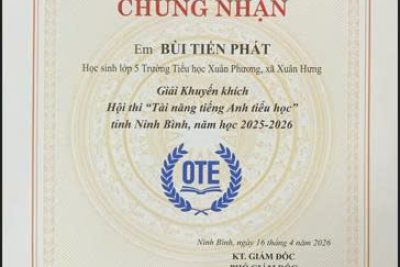 VINH DANH HỌC SINH ĐẠT GIẢI TẠI HỘI THI TÀI NĂNG TIẾNG ANH TIỂU HỌC